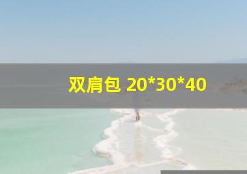 双肩包 20*30*40